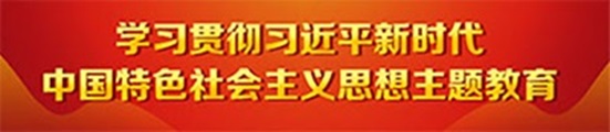 学习贯彻习近平新时代中国特色社...